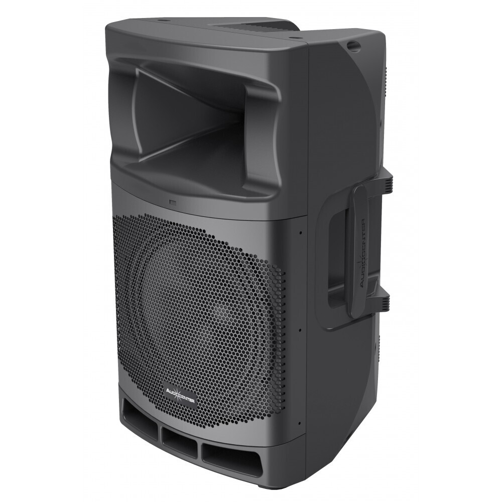 Audiocenter MA12 активная акустическая система в Спасске-Дальнем