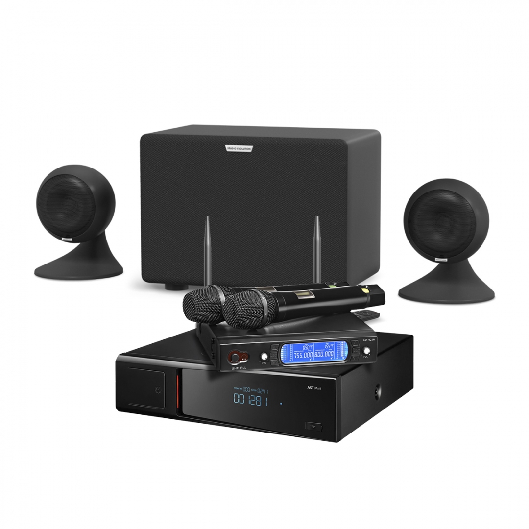 караоке-комплект AST Mini Sound Sphere в Спасске-Дальнем