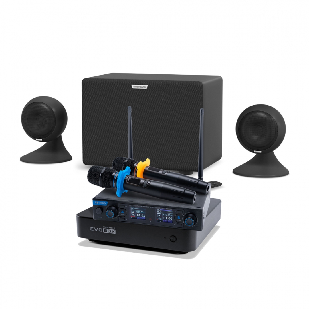 караоке-комплект EVOBOX + EvoSound Sphere 2.1 в Спасске-Дальнем
