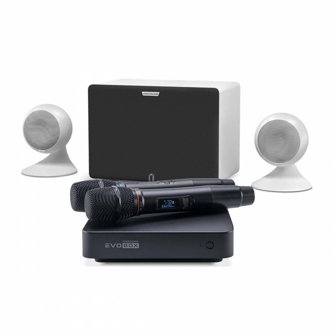 караоке-комплект EVOBOX Classic + EvoSound Sphere 2.1 в Спасске-Дальнем