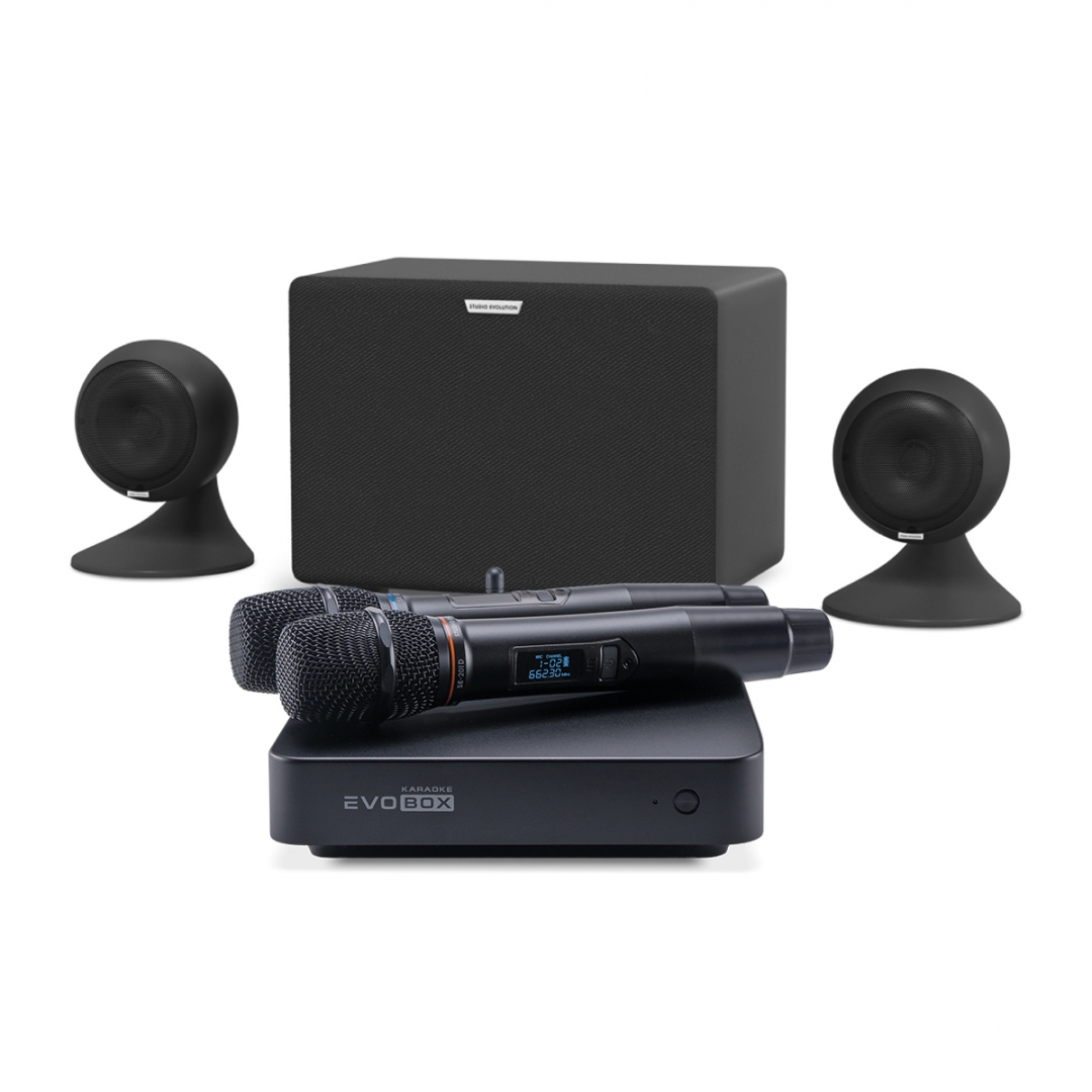 караоке-комплект EVOBOX Plus + EvoSound Sphere 2.1 в Спасске-Дальнем