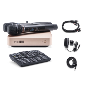 EVOBOX Classic караоке-система для дома в Спасске-Дальнем