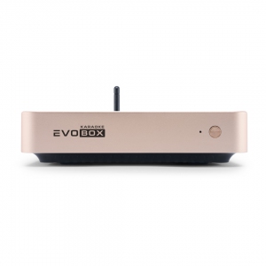EVOBOX Plus караоке-система для дома в Спасске-Дальнем