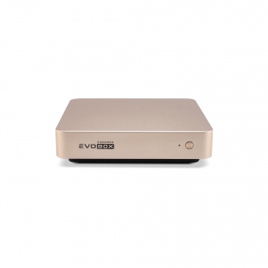 EVOBOX с микрофонами в Спасске-Дальнем