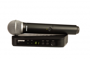 SHURE BLX24E/PG58 M17 вокальная радиосистема в Спасске-Дальнем