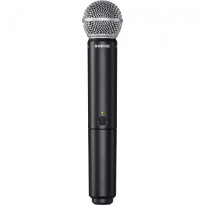 SHURE BLX288E/SM58 M17 вокальная радиосистема в Спасске-Дальнем